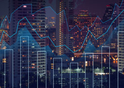 Investment Advisory and Consultancy